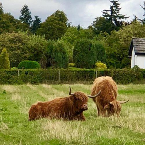 Highland Lodge Kilmorack Εξωτερικό φωτογραφία
